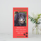 休日の写真カード シーズンカード (スタンド正面)