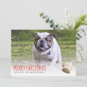 休日の写真カード|金ゴールドの足犬 シーズンカード (スタンド正面)