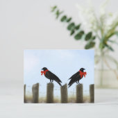 休日の天恵のカラス シーズンポストカード (スタンド正面)