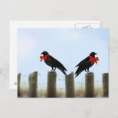 休日の天恵のカラス シーズンポストカード (正面/裏面)