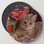 休日の子猫 缶バッジ (正面&裏面)