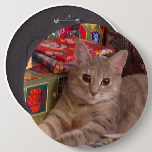 休日の子猫 缶バッジ (正面&裏面)