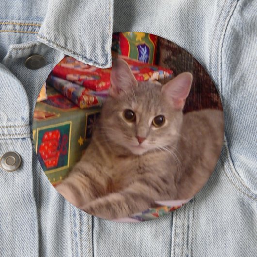 休日の子猫 缶バッジ (インサイチュ)