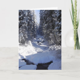 休日の挨拶状 シーズンカード