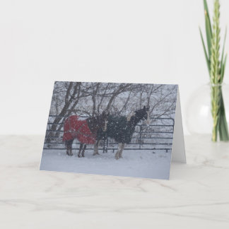 休日の挨拶 シーズンカード