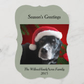 休日の背景とのサンタの犬実験室かロットワイラー シーズンカード (正面/裏面)