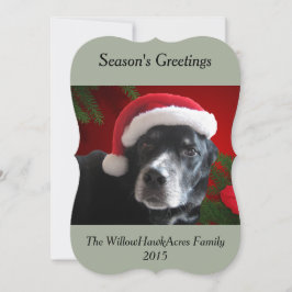 休日の背景とのサンタの犬実験室かロットワイラー シーズンカード