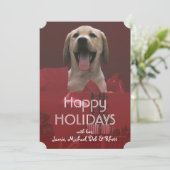 休日の贈り物を持つ犬 シーズンカード (スタンド正面)