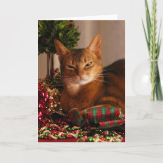 休日の足 シーズンカード