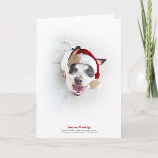 休日の避難所犬 シーズンカード (正面)