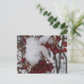 休日の郵便はがきの赤い果実および雪 シーズンポストカード (スタンド正面)
