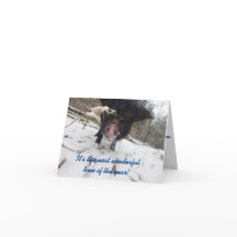 休日の願い、豚のクリスマスカード