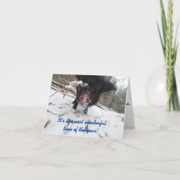 休日の願い、豚のクリスマスカード シーズンカード