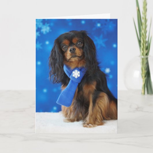 休日の騎士 シーズンカード (正面)