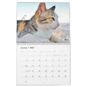休日の2015カレンダー-猫 カレンダー (1月 2027)