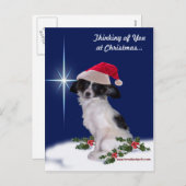 休日のPapillonの郵便はがき シーズンポストカード (正面/裏面)