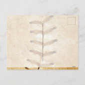 休日はがき シーズンポストカード (裏面)