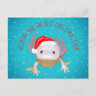 休日はがき シーズンポストカード