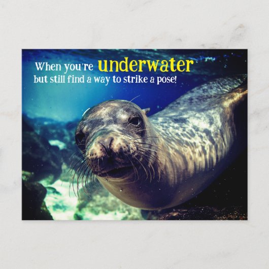 休日はがき シーズンポストカード (正面)