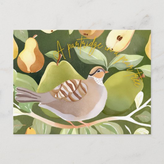 休日はがき シーズンポストカード (正面)