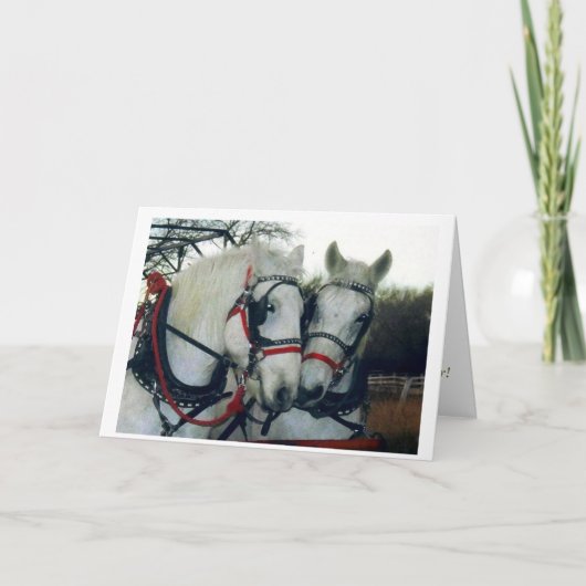 休日カード2010年 シーズンカード (正面)