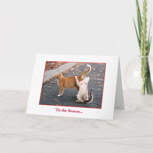 休日カード シーズンカード (正面)