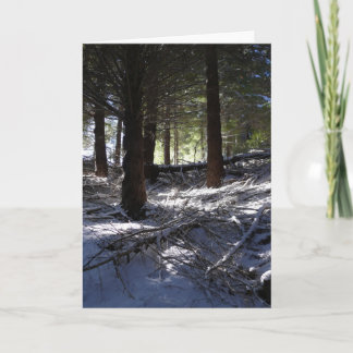 休日カード、ボブのピークQueenstown シーズンカード