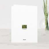 休日カード、沼沢地 シーズンカード (裏面)