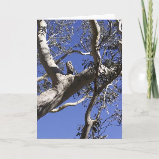 休日カード、沼沢地 シーズンカード (正面)