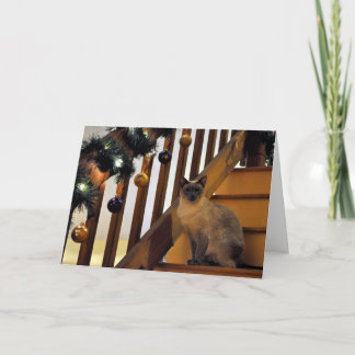 休日シャムの2 シーズンカード