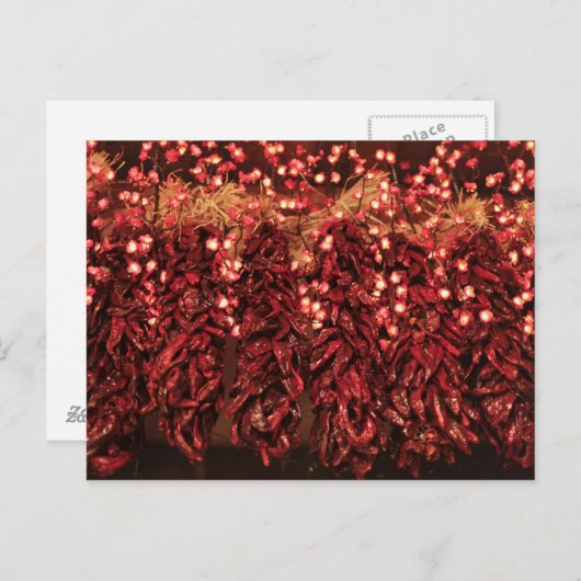 休日ライトとの唐辛子のristras シーズンポストカード (正面/裏面)