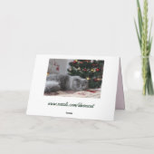 休日子猫グリーティングカード カード (裏面)