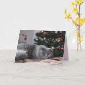 休日子猫グリーティングカード カード (黄色い花)