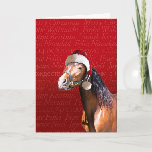 休日湾 シーズンカード (正面)