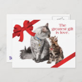 休日猫の郵便はがき シーズンポストカード (正面/裏面)