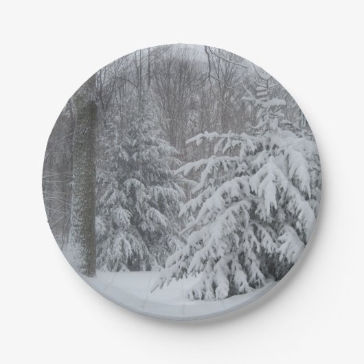 休日紙プレート ペーパープレート (正面)