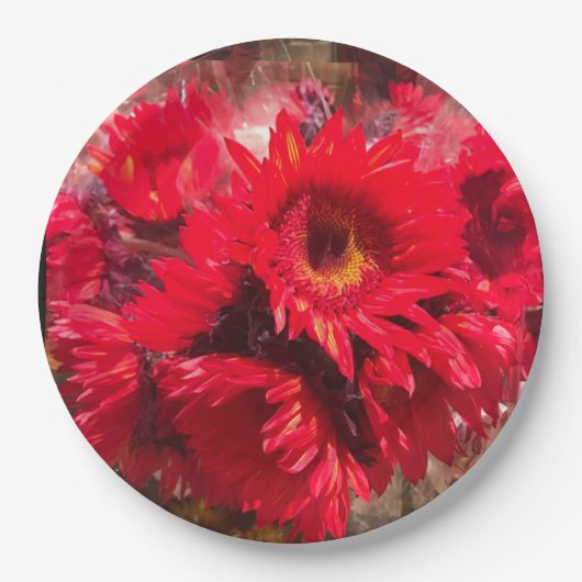 休日紙プレート!9インチ ペーパープレート (正面)