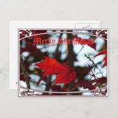 休日葉 シーズンポストカード (正面/裏面)