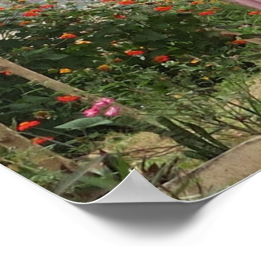 休日、自転車に着たドレスの若いアジアの女の子 ポスター (角)