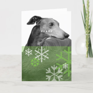 休日Card_4 シーズンカード