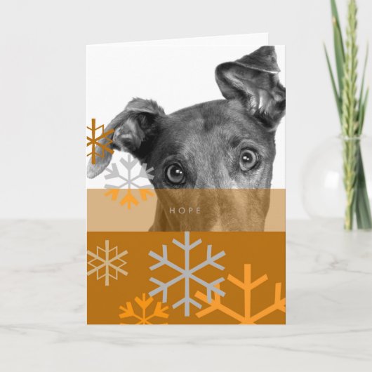 休日Card_7 シーズンカード (正面)