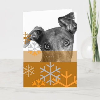 休日Card_7 シーズンカード