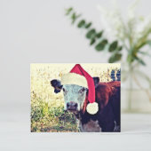 休日Moo牛 シーズンポストカード (スタンド正面)