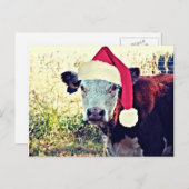 休日Moo牛 シーズンポストカード (正面/裏面)