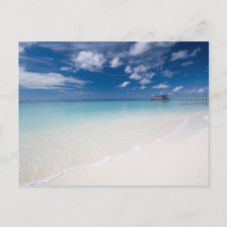 休暇からのグリーティングカード ポストカード