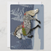 休暇のための美しいアストリッド - アイスランドの馬 (正面)