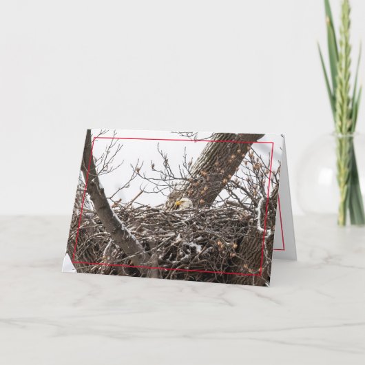 休暇の巣 シーズンカード (正面)