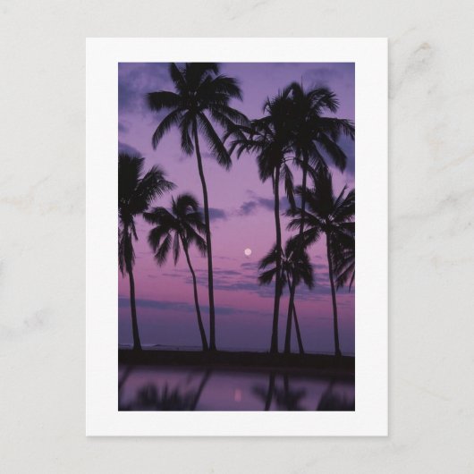 休暇の時間！ ポストカード (正面)