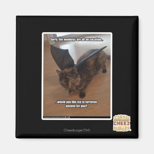 休暇中のサル マグネット (正面)