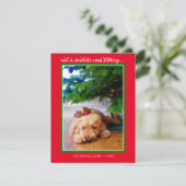 休暇写真 |生き物が動いていなかった シーズンカード (スタンド正面)